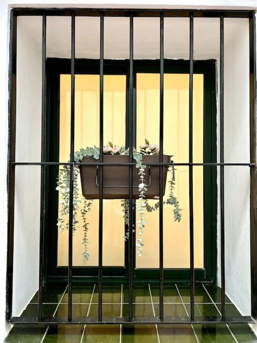 세비야 Auxiliadora Luxury 아파트 외부 사진